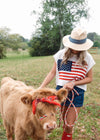 American Flag Sweater
