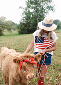 American Flag Sweater