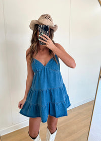 Olivia Denim Dress